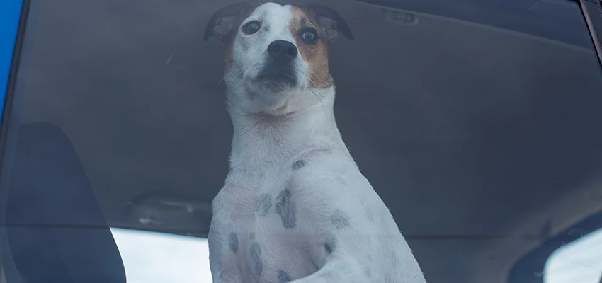 Car Lockout Solutions in Elverta, California