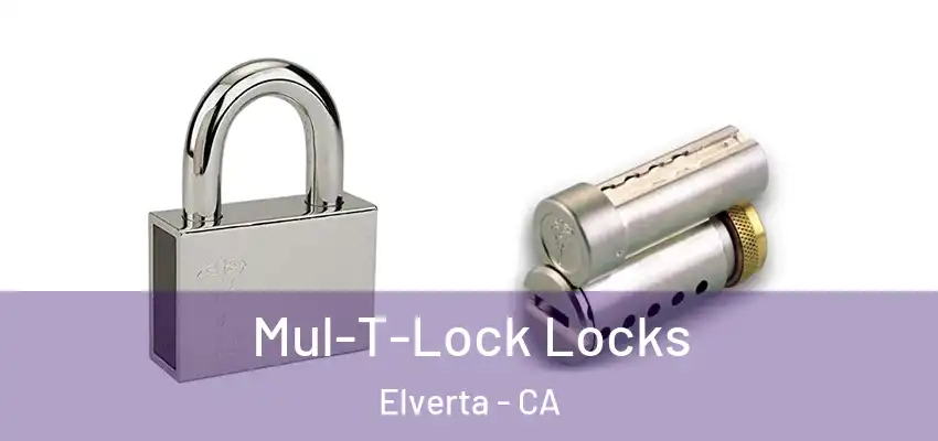  Mul-T-Lock Locks Elverta - CA